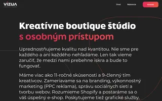 Vizua homepage website preview