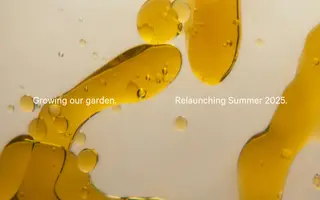 Mineral Health homepage website preview