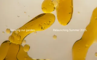 Mineral Health homepage website preview