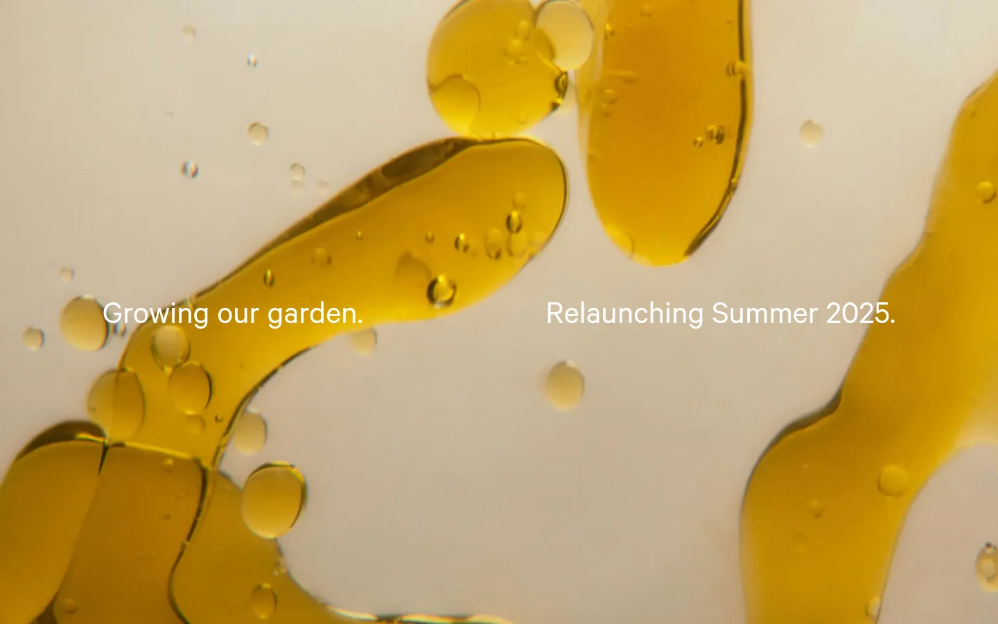 The desktop homepage features a minimalist design with a large hero image of golden oil droplets against a light cream background. Centered white text reads, 'Growing our garden. Relaunching Summer 2025.' The layout is clean and spacious, focusing entirely on the brand's upcoming relaunch.