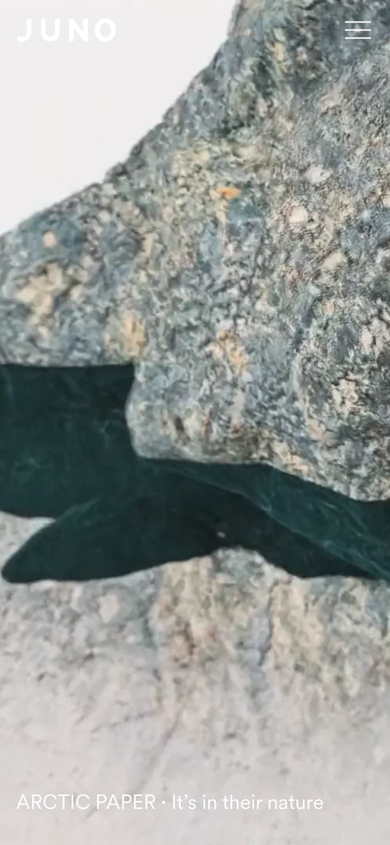 The mobile version presents a full-screen, vertical layout with a high-resolution close-up image of textured rock and dark water. The JUNO logo is positioned in the top left, and a white hamburger menu icon is in the top right. A project title, 'ARCTIC PAPER · It’s in their nature', is displayed in white text at the bottom of the screen.