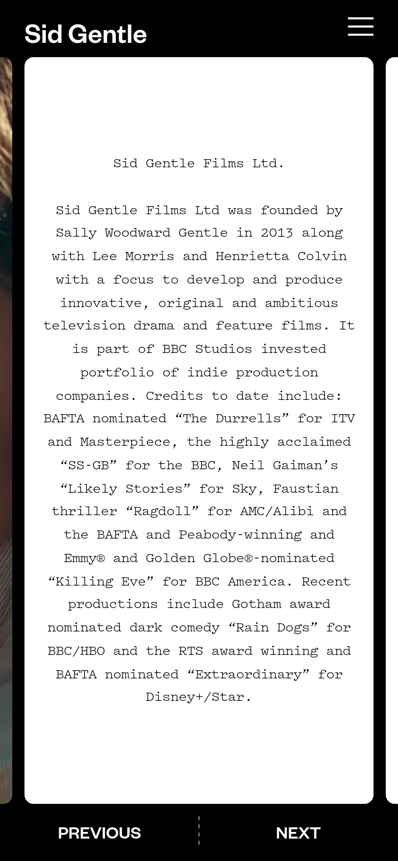 The mobile version simplifies the layout, moving the navigation menu to a hamburger icon in the top right corner. The company logo is centered at the top, and the white content card containing the company description occupies most of the screen width.