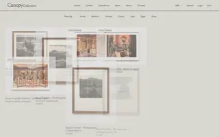 Canopy Collections homepage website preview