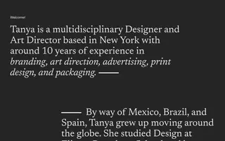 Tanya Pedra homepage website preview