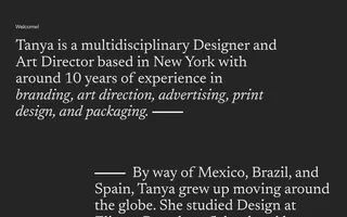 Tanya Pedra homepage website preview