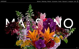 Marsano homepage website preview