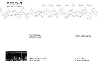 Metrum Ensemble homepage website preview