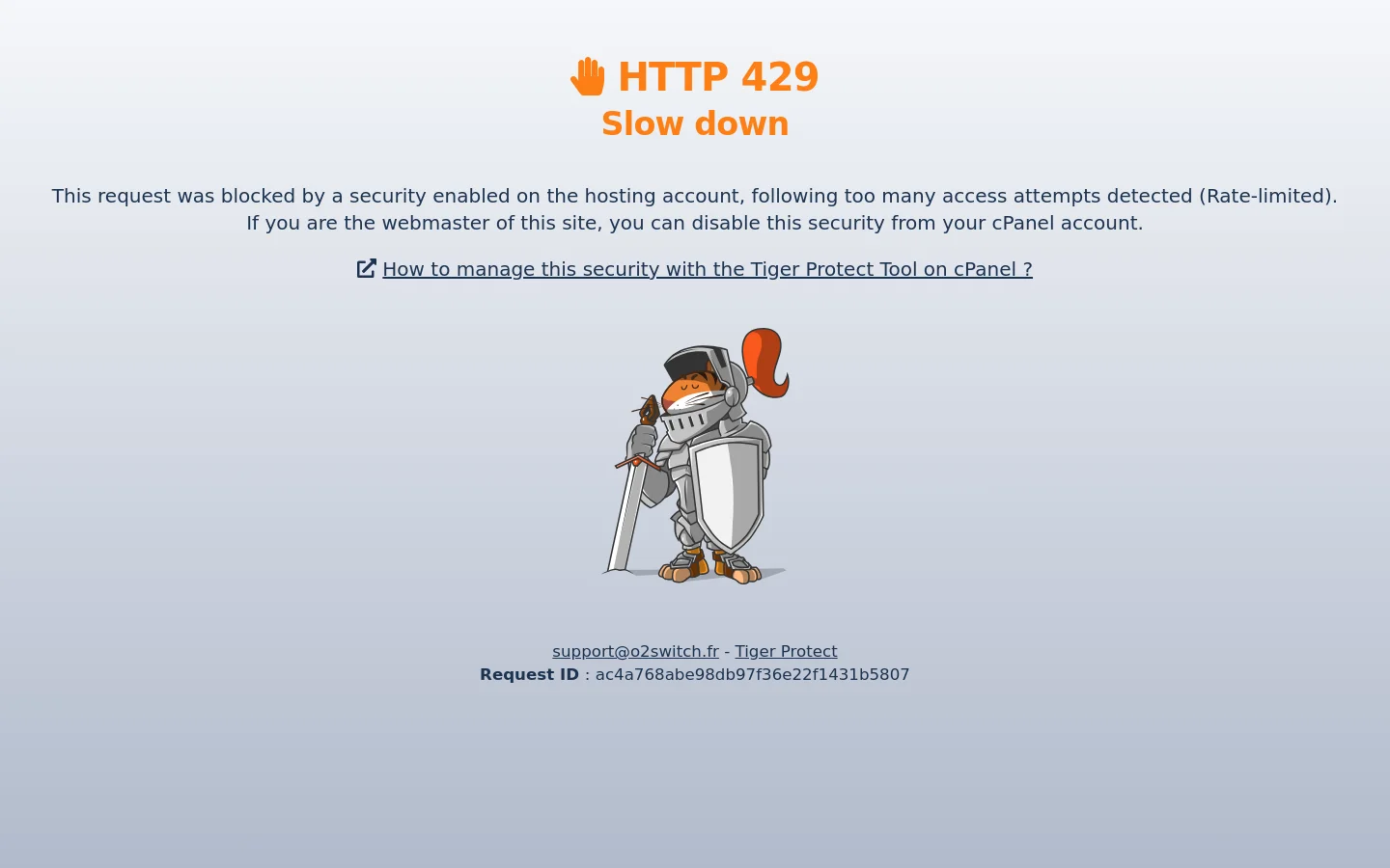 A minimalist error page with a light gray background featuring a large orange 'HTTP 429 Slow down' headline and a cartoon illustration of a small knight in silver armor holding a sword and shield. Below the illustration, there is a support email link and a unique Request ID text.
