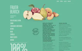 Fruita Blanch homepage website preview