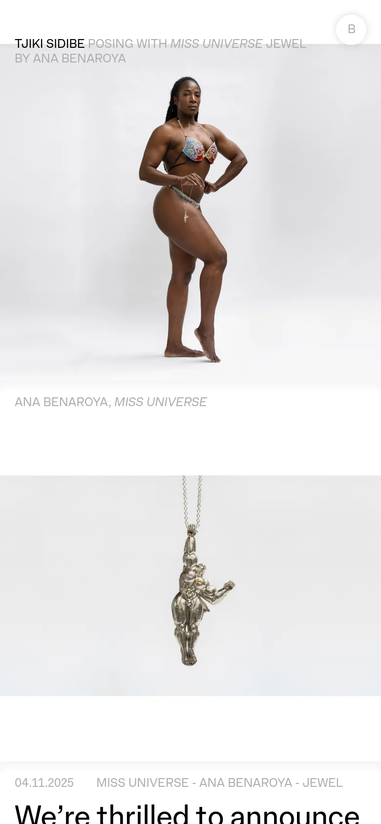 The mobile version maintains the minimalist aesthetic but transitions to a single-column vertical scroll. The hero image and subsequent artwork images are scaled to fit the narrow screen width, ensuring the visual impact of the art remains central. Text elements and headlines are stacked vertically for easier readability on a handheld device.