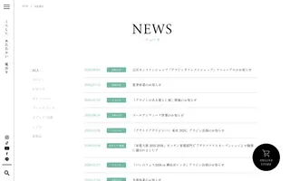 Aladdin homepage website preview