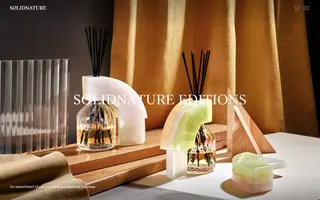 SolidNature homepage website preview