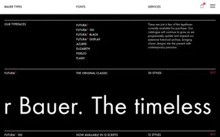 Bauer Types homepage website preview