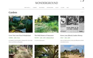 Wonderground homepage website preview