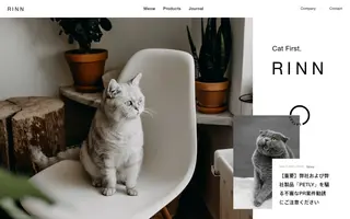 RINN Inc. homepage website preview