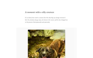 Manuelmoreale homepage website preview