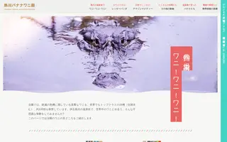Bananawani homepage website preview