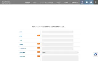 Vocation Consulting homepage website preview
