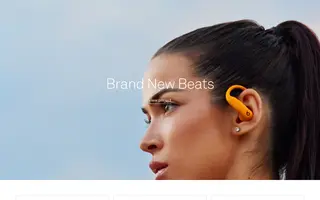 Ammunition homepage website preview
