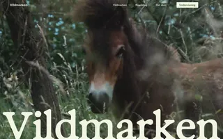 Vildmarken homepage website preview