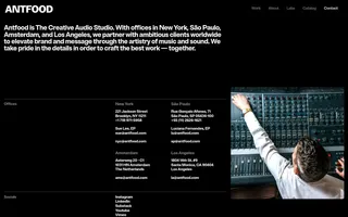 Antfood homepage website preview