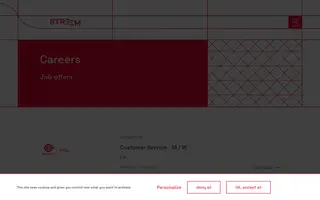 Streem Group homepage website preview