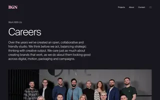 BGN homepage website preview