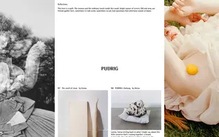 Pudrig homepage website preview