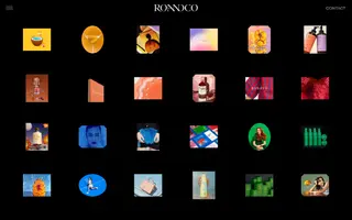 RoAndCo homepage website preview