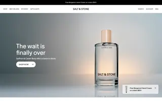 Salt & Stone homepage website preview