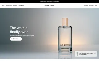 Salt & Stone homepage website preview