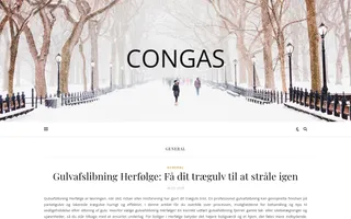 Congas homepage website preview