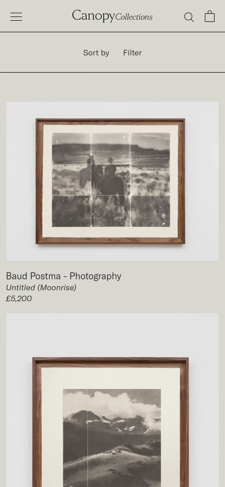 The mobile version presents a condensed view of the art collection, featuring a simplified header with a hamburger menu, search icon, and shopping bag. The filtering and sorting options are moved into prominent buttons above a single-column vertical scroll of large artwork images. The layout prioritizes vertical scrolling to showcase each piece and its details clearly on a smaller screen.