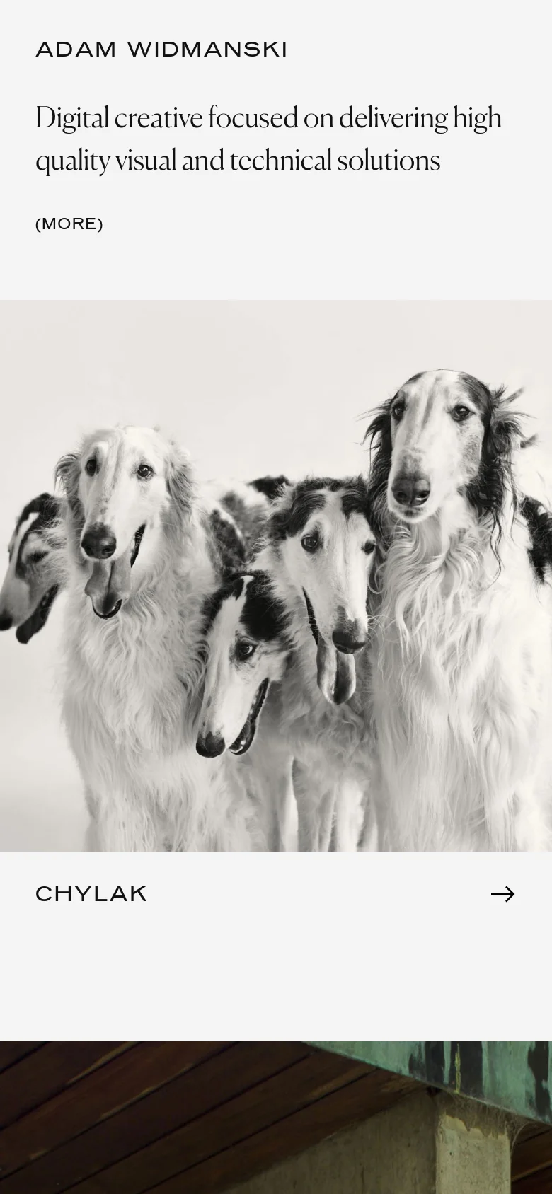 The mobile version uses a single-column layout with the text 'ADAM WIDMANSKI' and the headline stacked vertically at the top. Below the text, the large black and white dog photograph spans the full width of the screen, followed by a 'CHYLAK' project link with an arrow icon.
