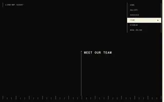 Line of Sight homepage website preview