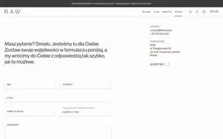 RAW homepage website preview
