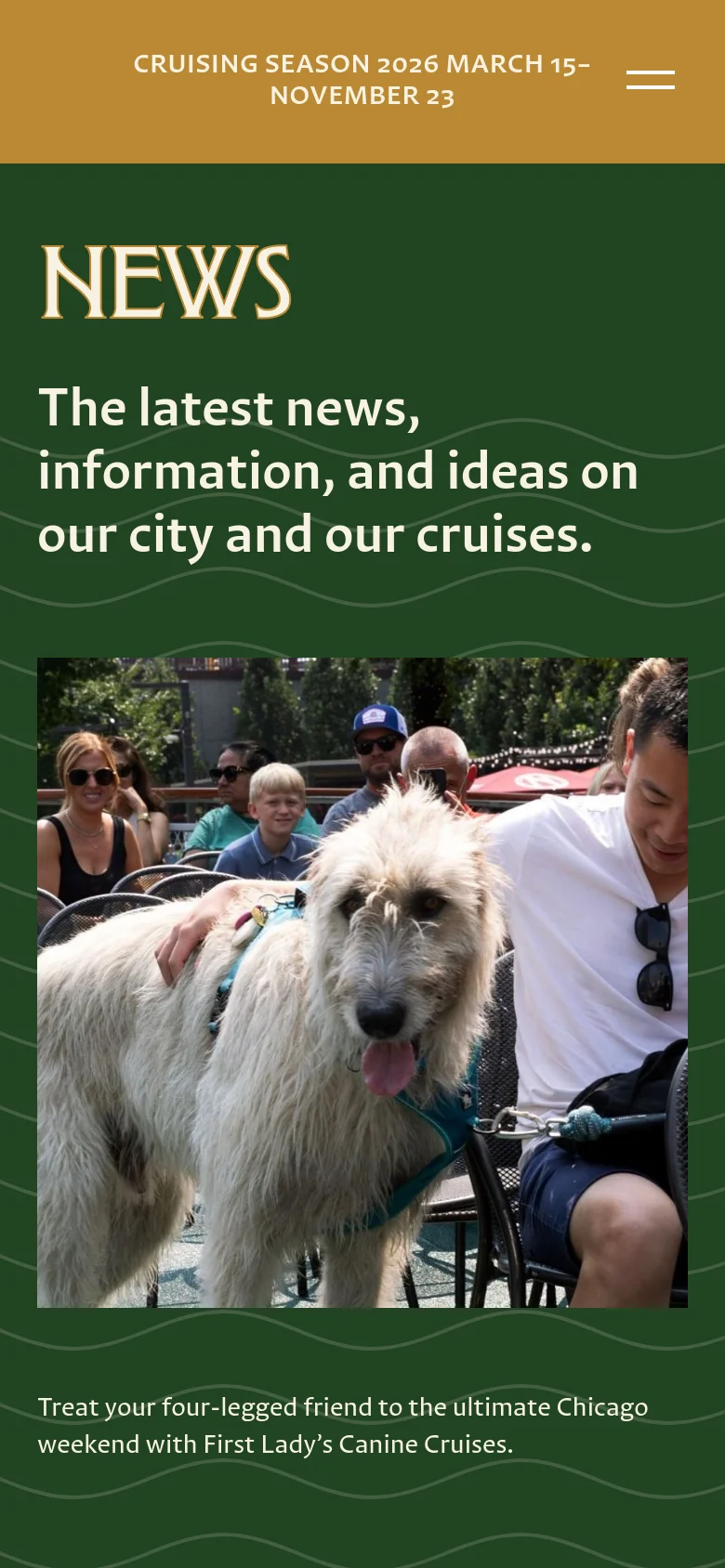 The mobile version uses a vertical stack layout on a dark green background with wavy patterns. The 'NEWS' headline and descriptive text are centered at the top, followed by the large featured image of a person and a dog, with the article summary text placed directly underneath the image.