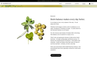 Karmacist homepage website preview