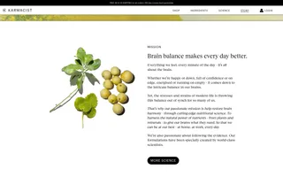 Karmacist homepage website preview