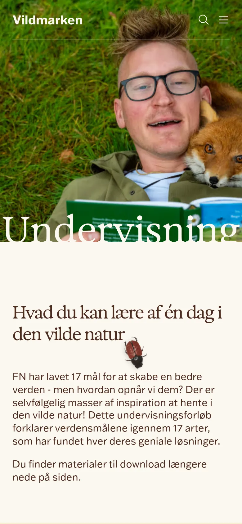 The mobile version presents a vertically stacked layout starting with a hero image of the man and fox, though the large 'Undervisning' headline is partially cut off. Below the image, the text content begins with the headline 'Hvad du kan lære af én dag i den vilde natur' followed by introductory paragraphs and a small insect illustration. The top navigation is simplified to a logo, search icon, and a hamburger menu icon.