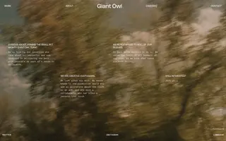 Giant Owl homepage website preview