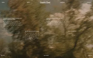 Giant Owl homepage website preview