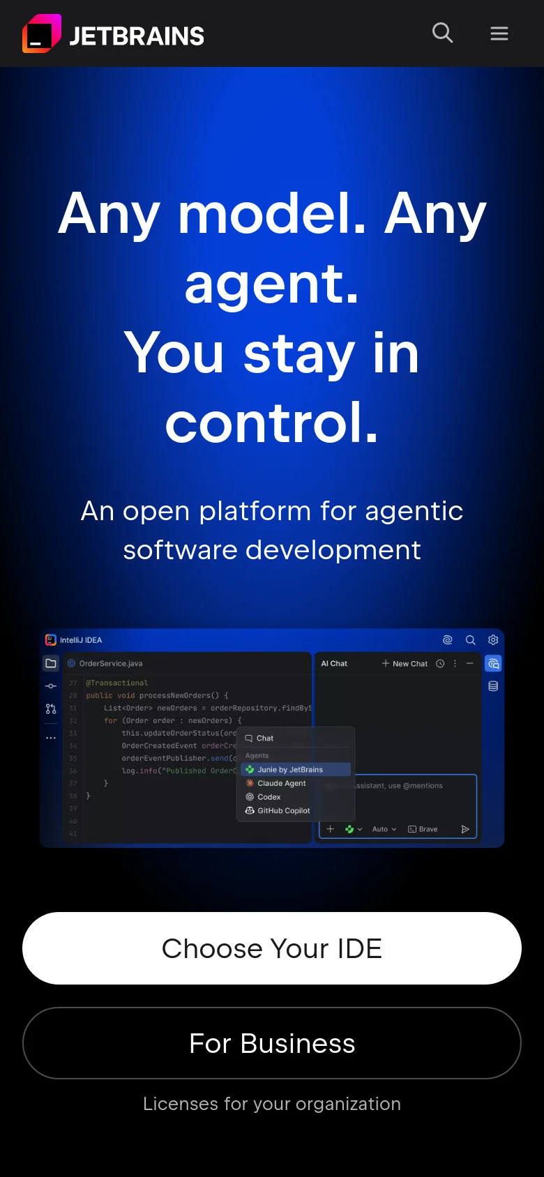 The mobile version presents a vertically stacked layout on a deep blue gradient background. The main headline is centered in large white text, followed by a smaller subheadline and a screenshot of the IDE interface. Two large, full-width buttons for 'Choose Your IDE' and 'For Business' are positioned at the bottom, with a condensed header containing a search icon and a hamburger menu.