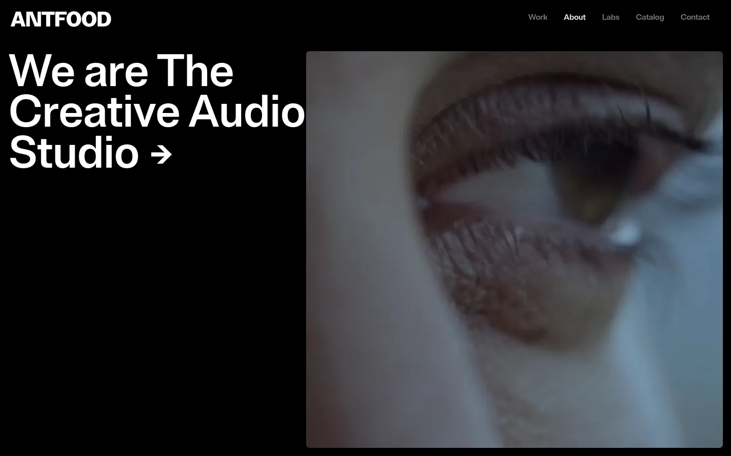 The desktop page features a dark theme with a large hero section containing the headline 'We are The Creative Audio Studio' in bold white text next to a close-up video of an eye. A navigation menu at the top includes links for Work, About, Labs, Catalog, and Contact. Below the hero, the layout transitions into text sections and a grid of video project showcases.