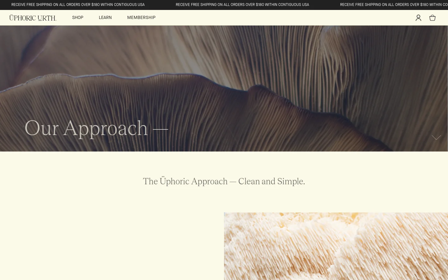 The desktop version features a wide hero image of detailed mushroom gills with the headline 'Our Approach —' in large serif font. Below, a cream-colored section introduces 'The Üphoric Approach — Clean and Simple' alongside a close-up image of white Lion's Mane mushrooms. The layout uses a clean, minimalist design with ample white space and a dark navigation bar.