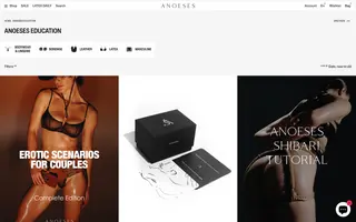 Anoeses homepage website preview