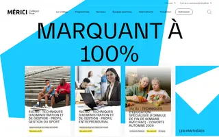 Mérici homepage website preview