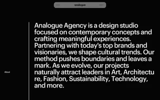 Analogue Agency homepage website preview