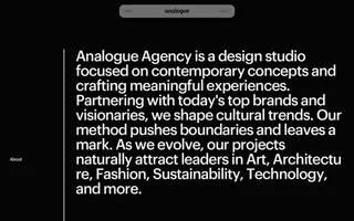 Analogue Agency homepage website preview