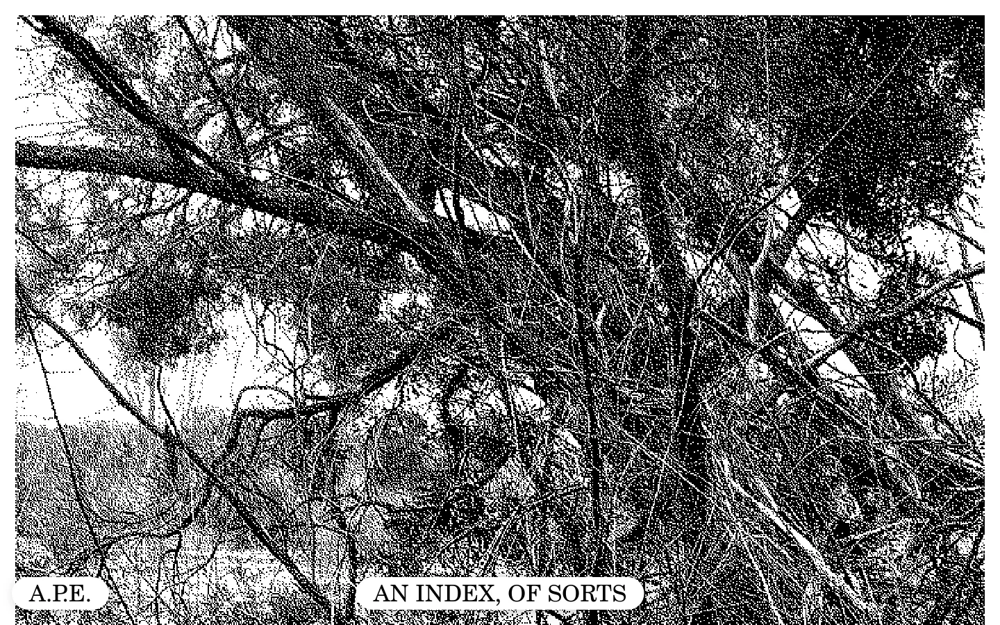 A minimalist website with a white background and black text, featuring a large, high-contrast black and white grainy photograph of dense tree branches. Below the image, a centered text list outlines various projects like Mixed Messages and Semaphore Score, followed by a footer with names and contact links.